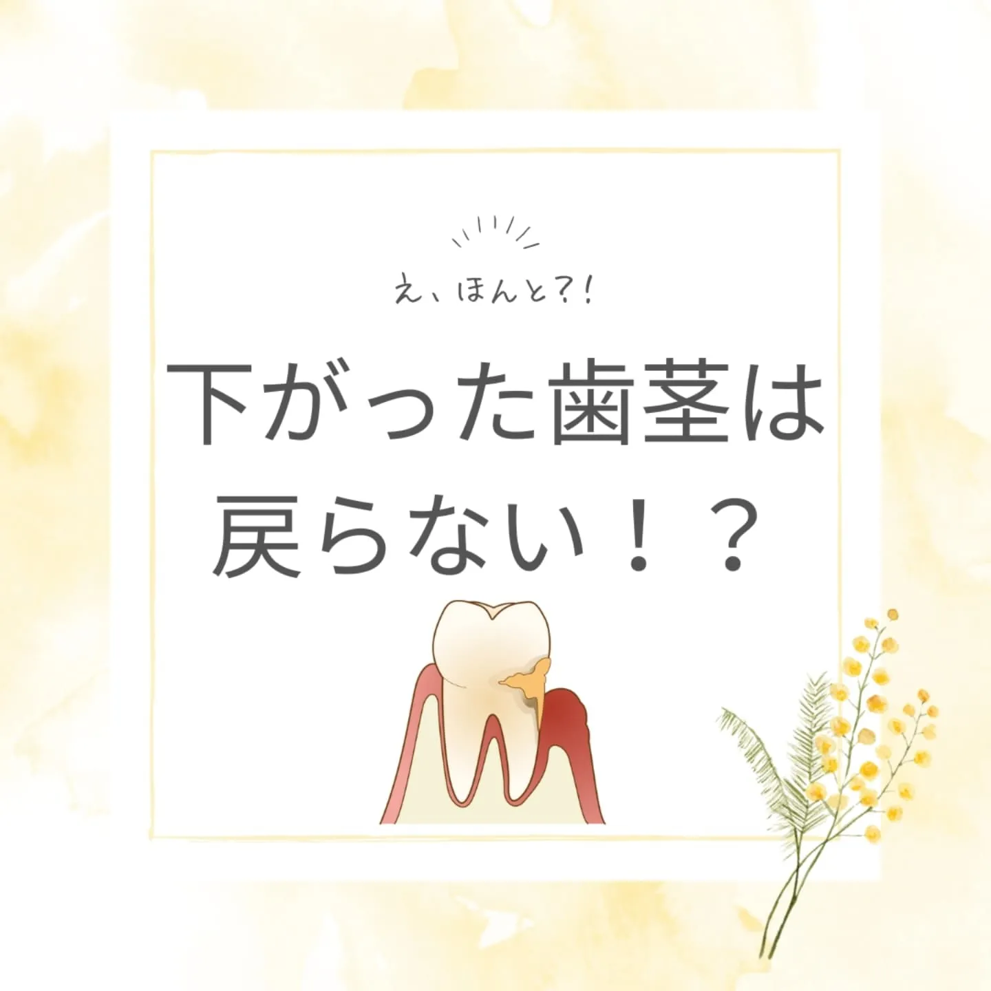 ほんと？下がった歯茎は戻らない！？