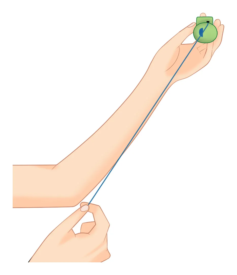 改めて覚える！フロスの使い方🦷